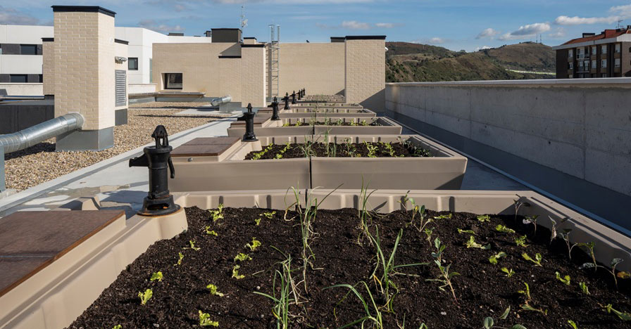 GrupoVía Lutxana Barria. Huertos urbanos 1 webnp