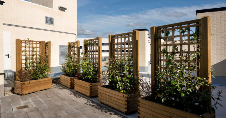 GrupoVía Lutxana Barria. Huertos urbanos webnp