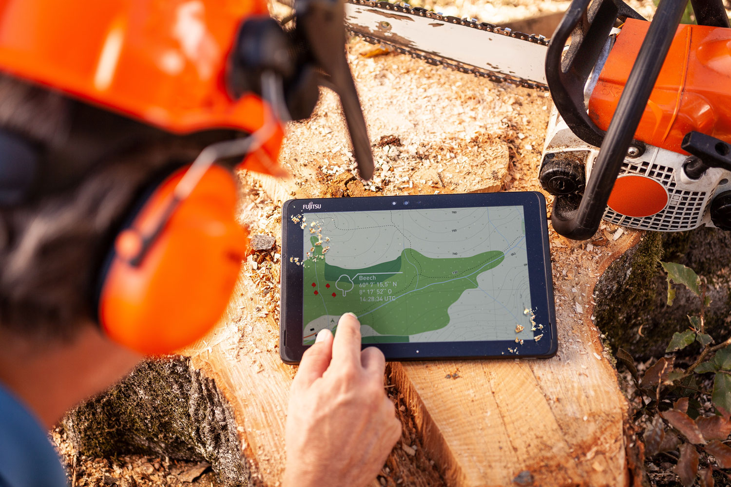 RS65607 FTS 1962 Stylistic Q509 Agriculture Forest