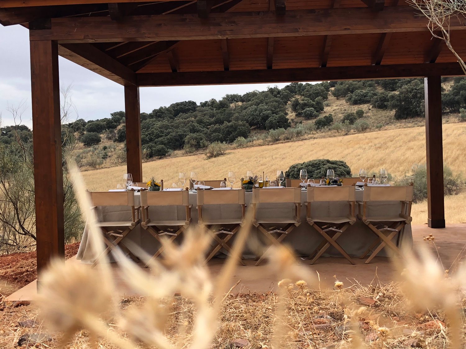 la caminera FOTOGRAMA 21