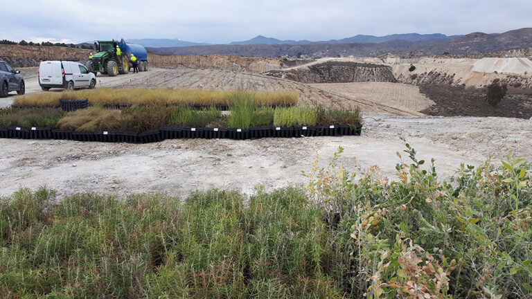 Noticias 29 20210120 120242