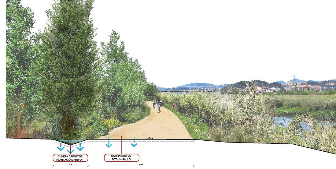 imatge cami llobregat