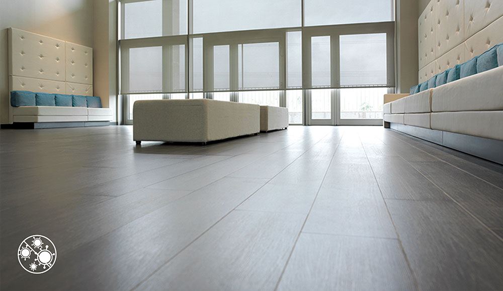 Coulisse Antiviral screen 4