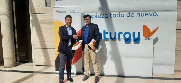 Noticias 33 nedgianp