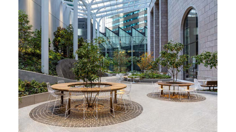 Noticias 43 portadaerconp