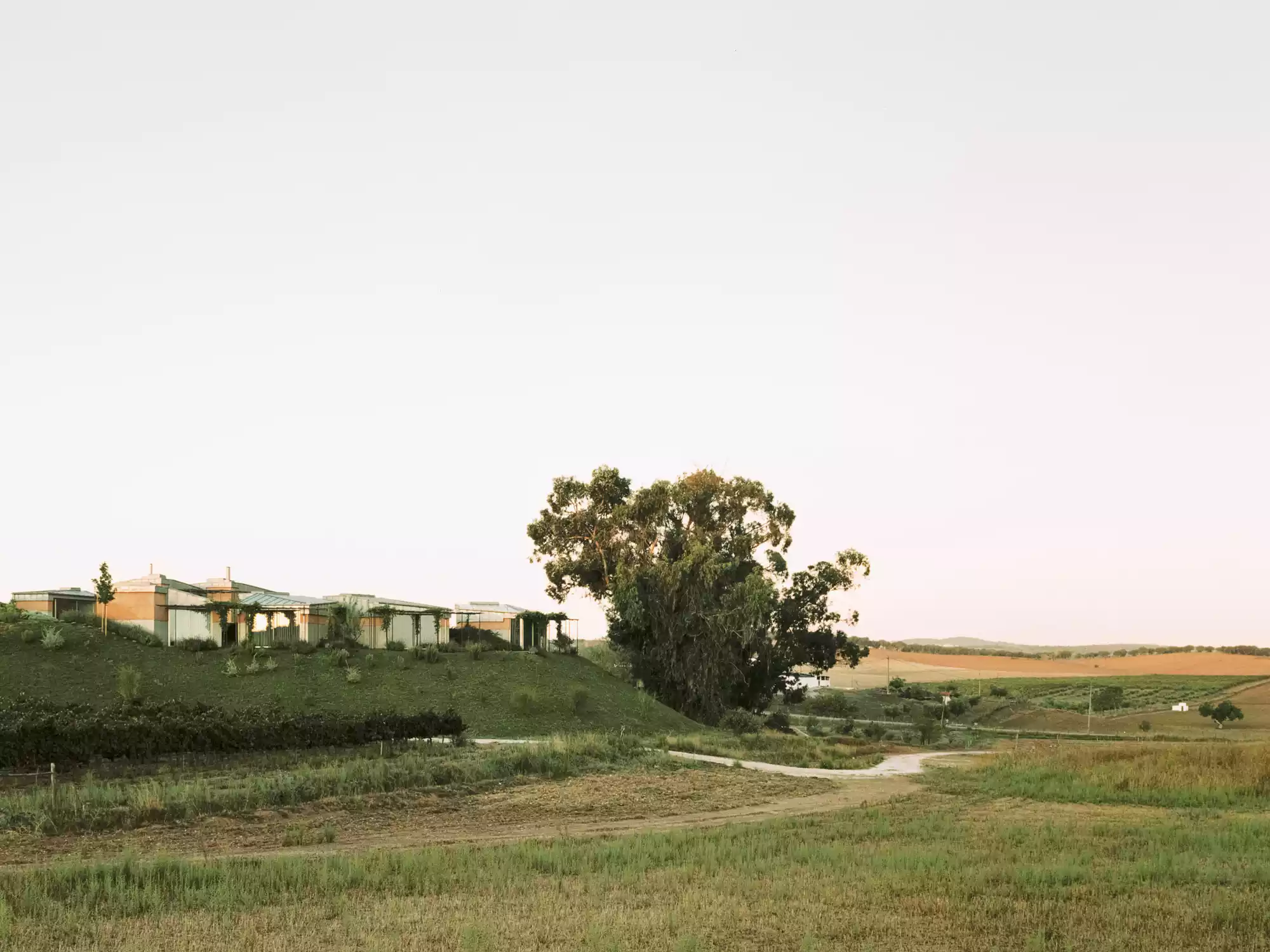 Herdade da Cardeira: Un proyecto arquitectónico portugués de Embaixada 1 EMB Herdade da Cardeira ©Simone Bossi 13