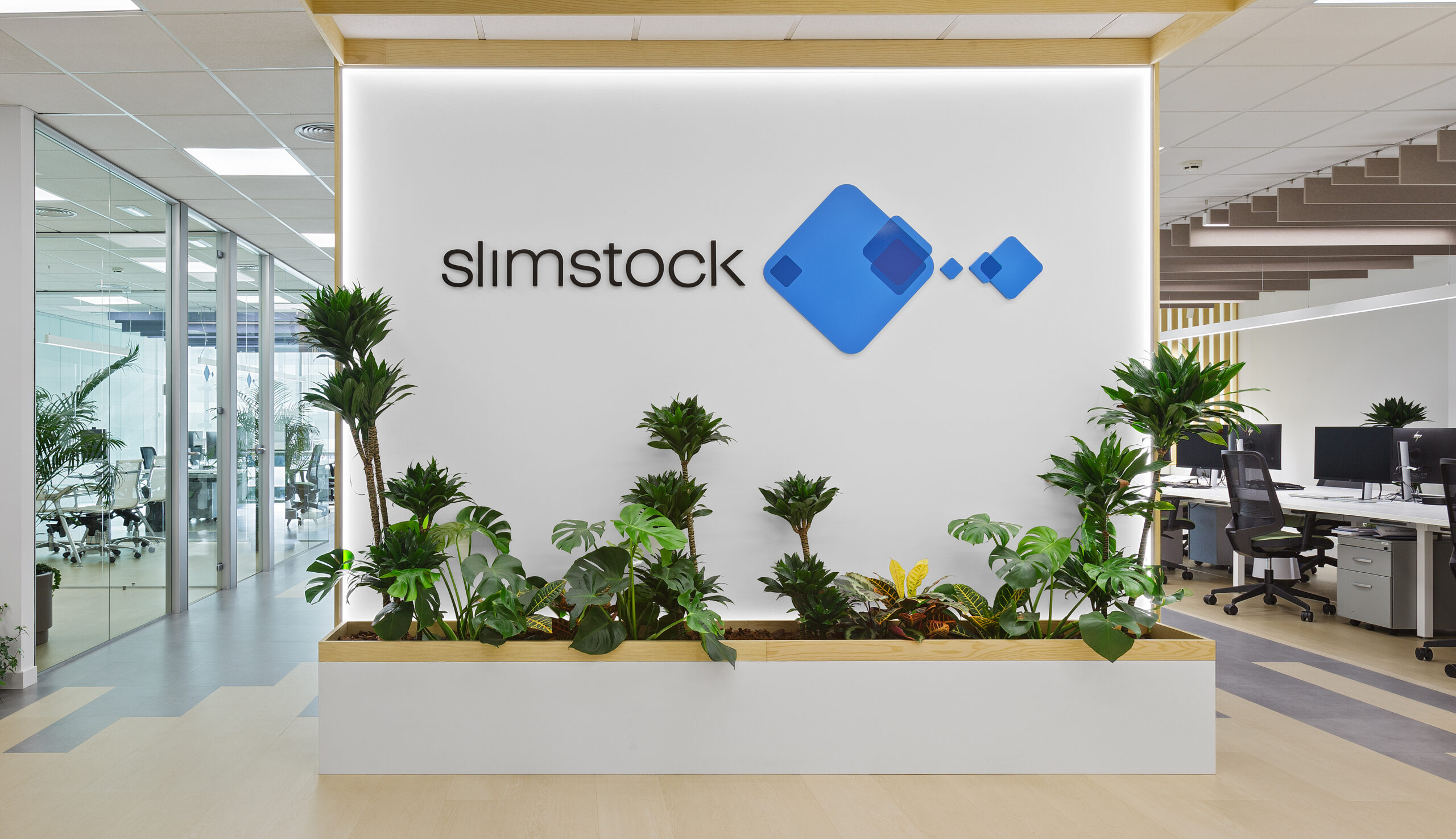 MidaFoto MG 1339 1 scaled