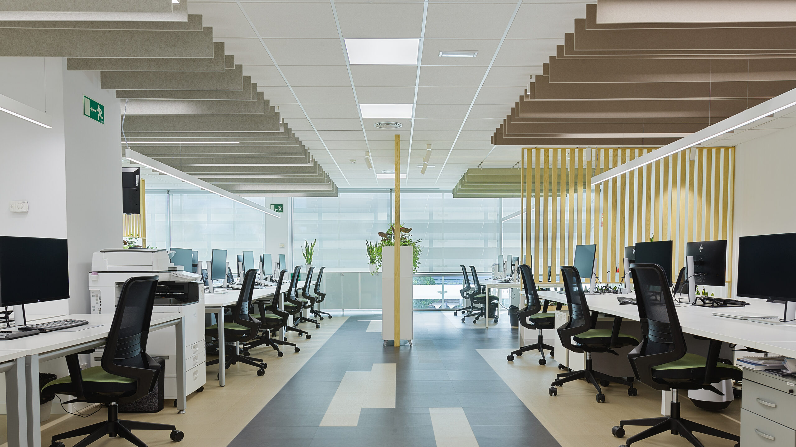 MidaFoto MG 1354 1 scaled