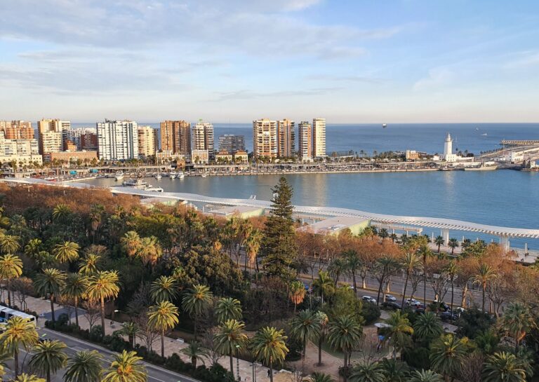 Noticias 15 ArboladourbanoMalaga