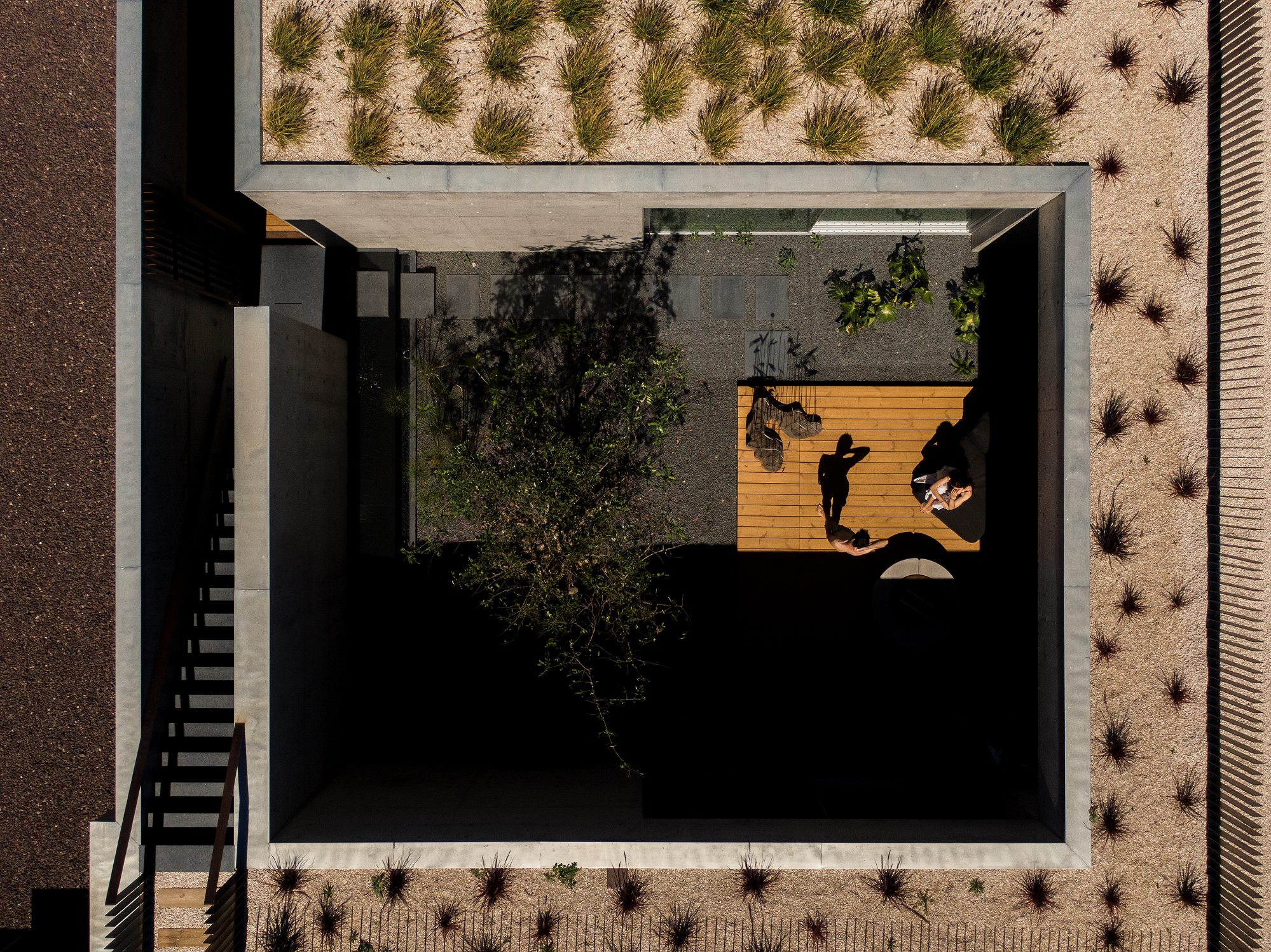 Casa Libre, por Mario Martins Atelier: Uma Casa Definida pela Leveza, Transparência e Conexão com a Paisagem